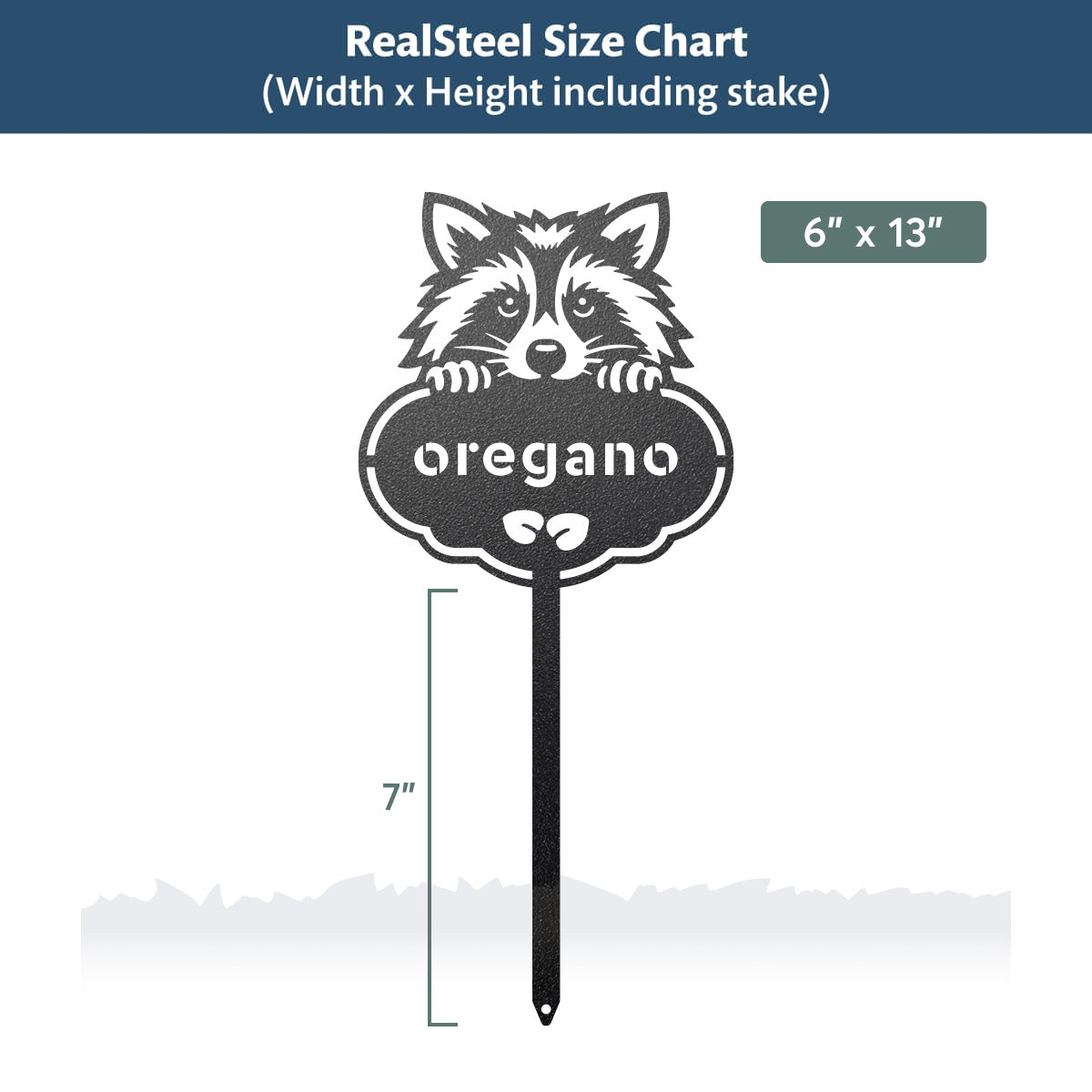 Rocky the Racoon Seed & Plant Markers - RealSteel Center