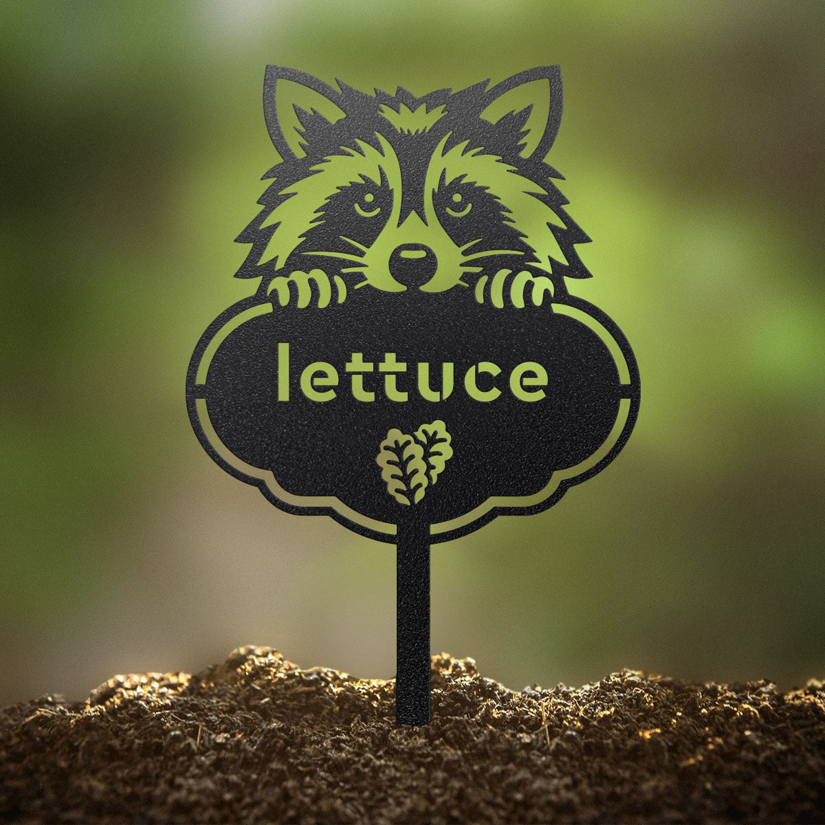 Rocky the Racoon Seed & Plant Markers - RealSteel Center